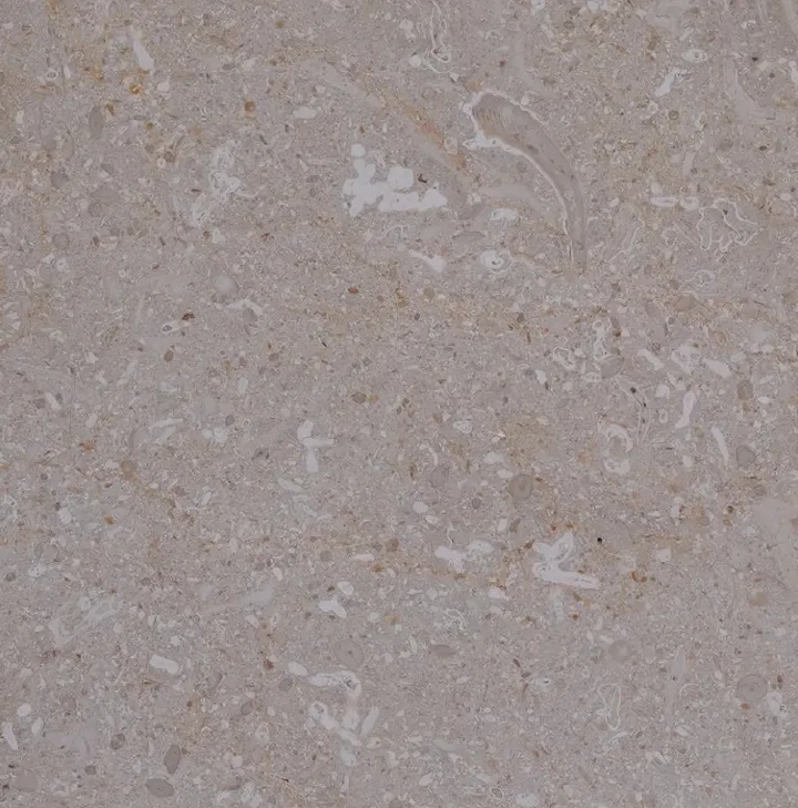 Nassau marble sample, close up