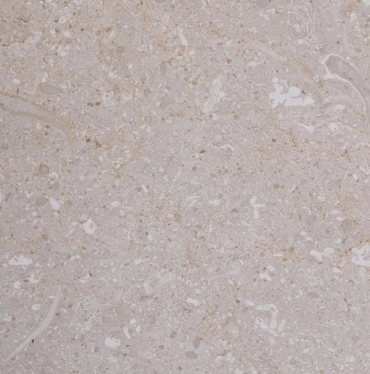 Refined Riviera marble sample, close up